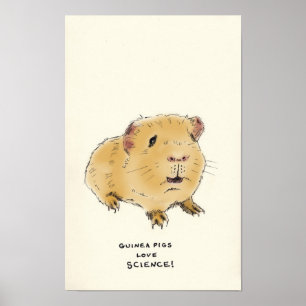 Meerschweinchen-Lappalien Poster