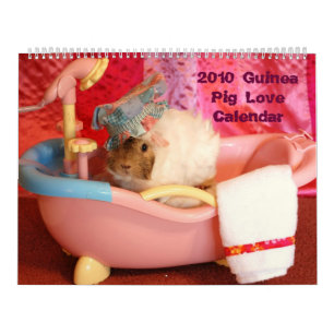 Meerschweinchen-Liebe-Kalender 2010 Kalender