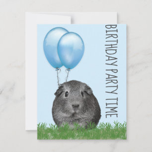 Meerschweinchen Mädchen Blauer Luftballon Benutzer Einladung