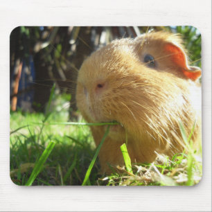 Meerschweinchen Maus-Auflage Mousepad