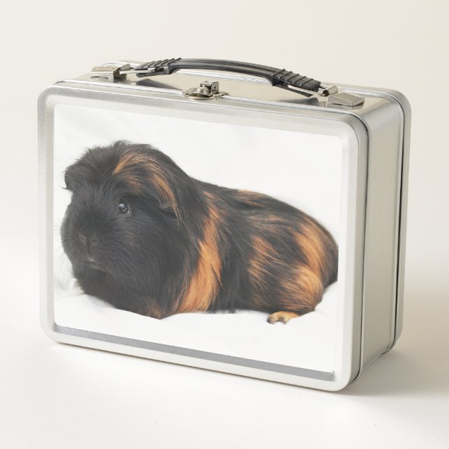 Meerschweinchen Metall Brotdose (Vorderseite)