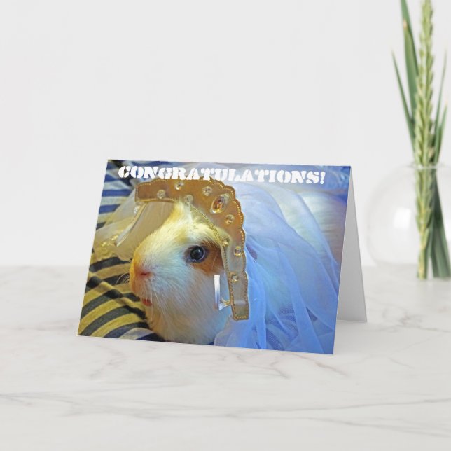 Meerschweinchen mit einem Schleier Karte (Vorderseite)