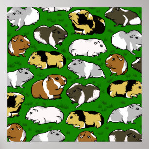 Meerschweinchen-Muster Poster