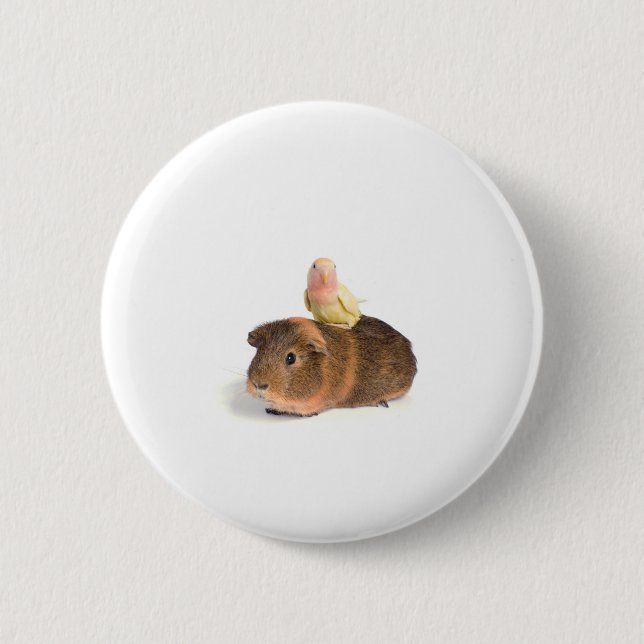 Meerschweinchen und gelber Vogel Button (Vorderseite)