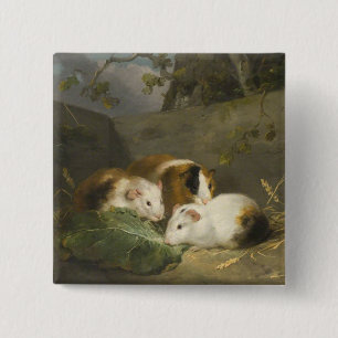 Meerschweinchen (von George Morland) Button