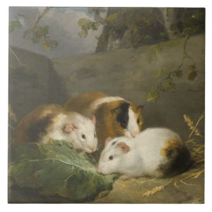 Meerschweinchen (von George Morland) Fliese