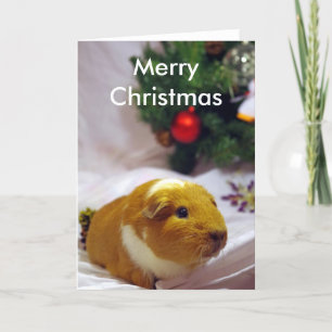 Meerschweinchen-Weihnachtskarte Feiertagskarte