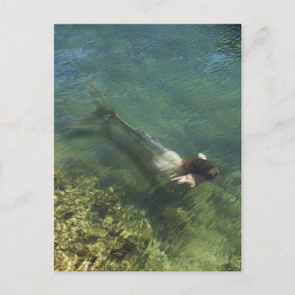 Meerwasser Postkarte