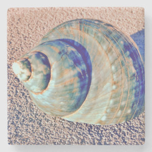 MeerWelk Seashell Steinuntersetzer