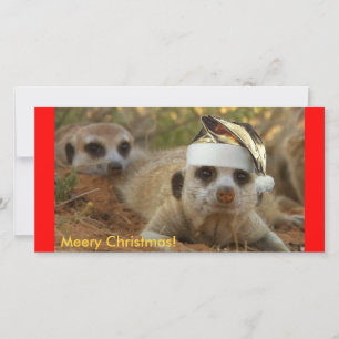 Meery Christmas Zaphod - Fotokarte Feiertagskarte