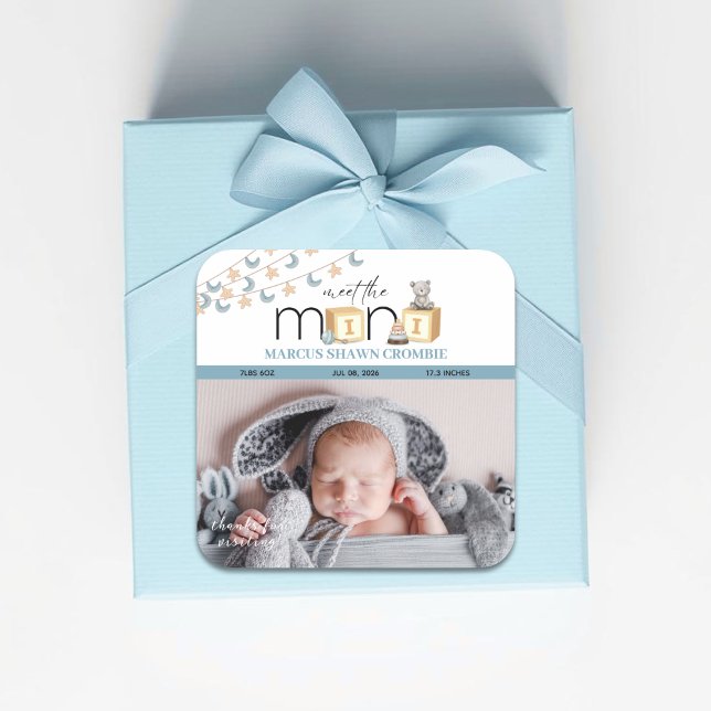 Meet The Mini Blue Baby Stickers (Von Creator hochgeladen)