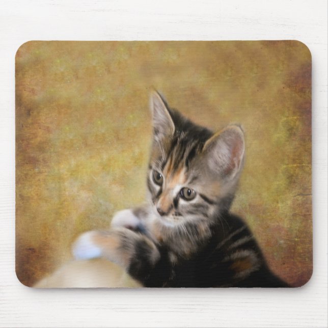 Meet Tiger Mousepad (Vorne)