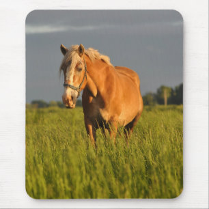 Meg. Ohm in der Weide Mousepad