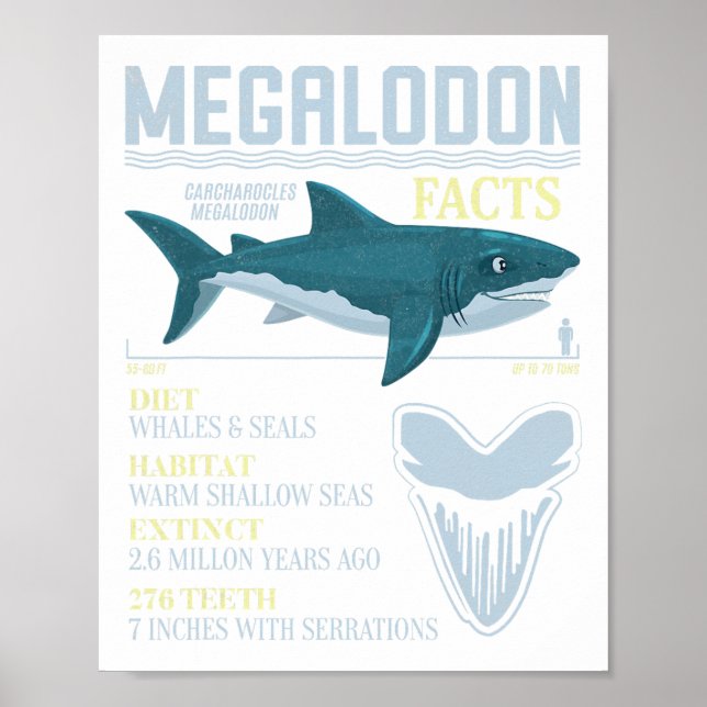 Megalodon Facts Meg Prähistorischer Hai-Zahn-Fossi Poster (Vorne)