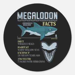 Megalodon Fakten Meg Prähistorischer Haifischzahn Runder Aufkleber
