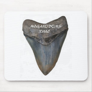Megalodon Haifisch-Zahn Mousepad
