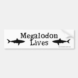 Megalodon Leben!  Autoaufkleber