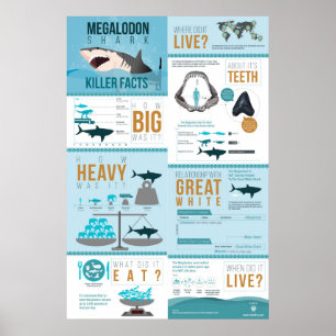Megalodon Shark - Killer Fakten! 24x36" Poster