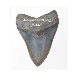 Megalodon Shark Tooth Notizblock