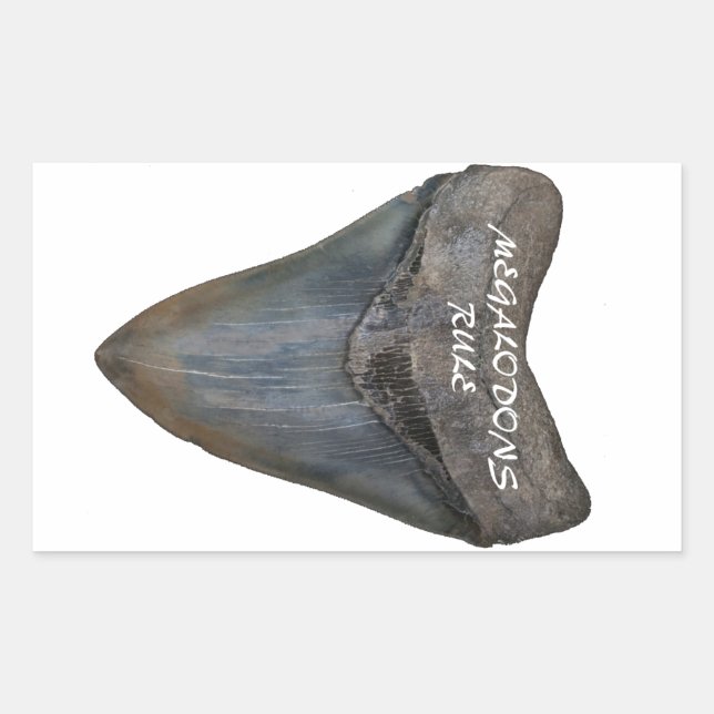 Megalodon Shark Tooth Rechteckiger Aufkleber (Vorderseite)