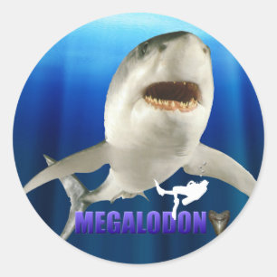 Megalodon Stickers