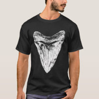 Megalodon Tooth Shark Lover Gift Meg Sharks Fossil