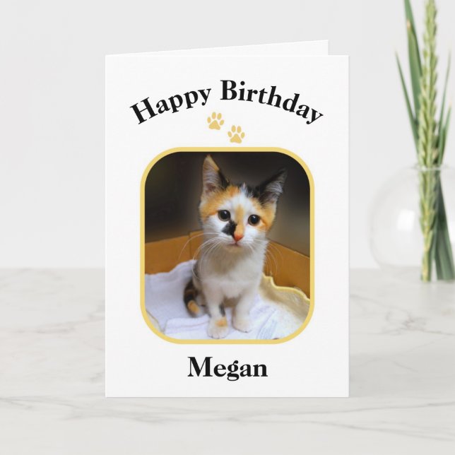 Megan Calico Kitten Happy Birthday Karte (Vorderseite)