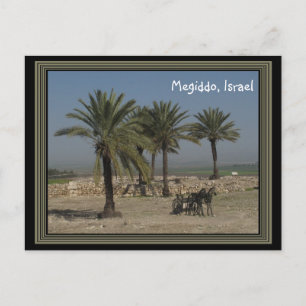 Megiddo Israel Postcard Postkarte
