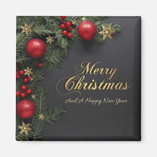 megnet magnet (Vorne)