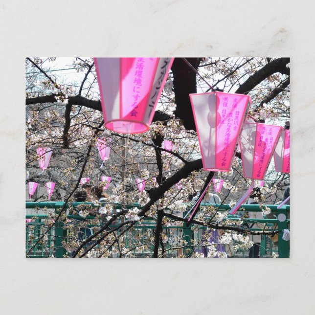 Meguro River Cherry Blossom Festival Postkarte (Vorderseite)