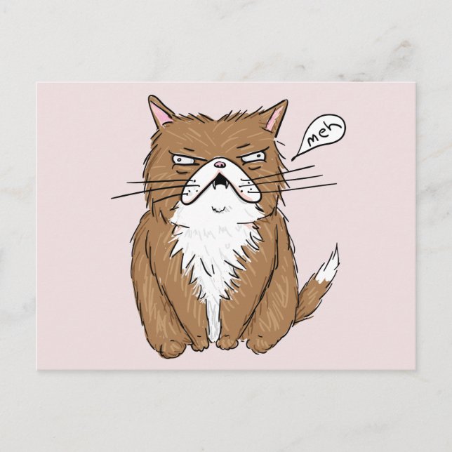 Meh Funny Grumpy Cat Zeichnend Postkarte (Vorderseite)