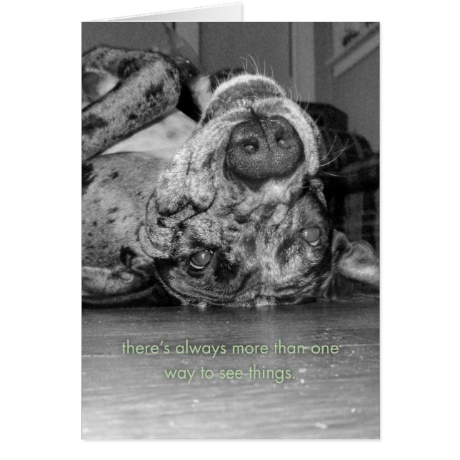 Mehr als eine Möglichkeit (Vorne)