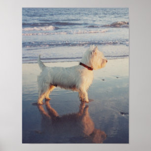 Mehr Bitte! Westie Ball Poster