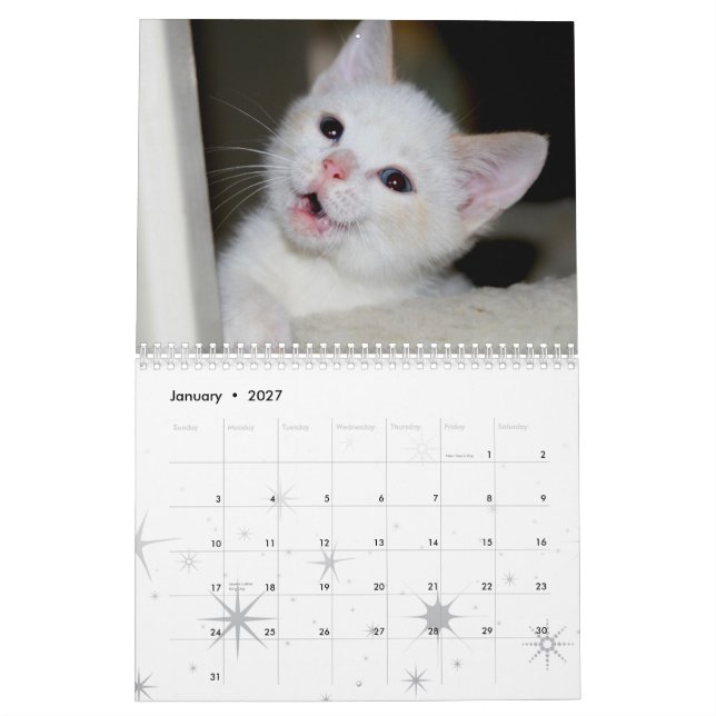Mehr Kätzchen! Kalender (Jan 2027)