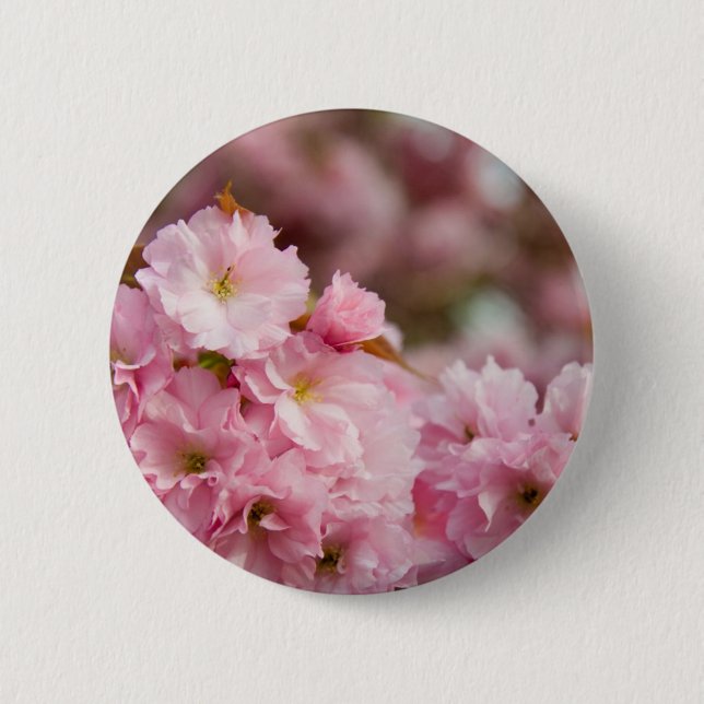 Mehr Kirschblüte-Blüten Button (Vorderseite)
