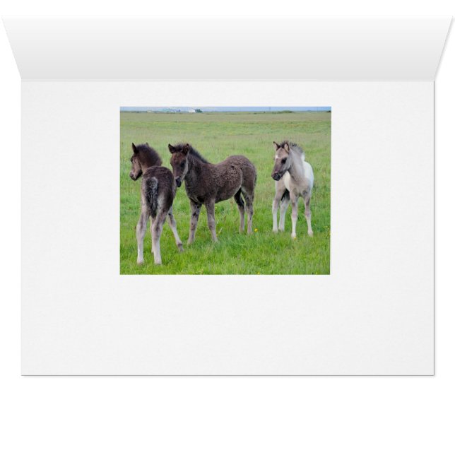 Mehr Pferde reichlich (horizontal) (Innenansicht Horizontal (Unten))