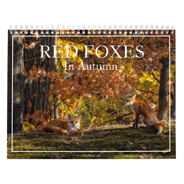 Mehr rote Füchse im Herbstkalender Kalender (Titelbild)