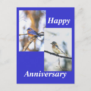mehr truman, mrs truman, Happy, Anniversary Postkarte
