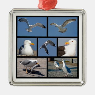 Mehrere Fotos Seeteufel Ornament Aus Metall