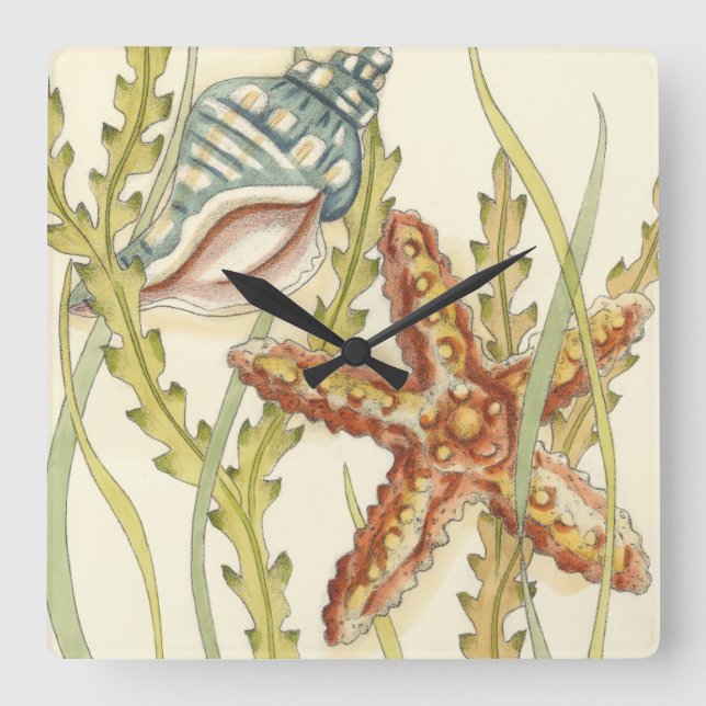 MehrfarbenMuschel-Party Quadratische Wanduhr (Vorderseite)