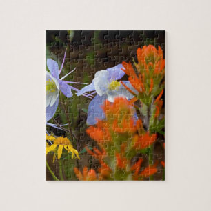 mehrfarbig puzzle
