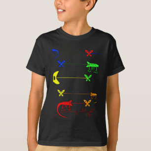 mehrfarbig, Rainbow Chameleon T - Shirt