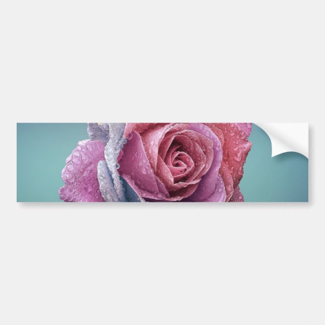 mehrfarbige Rose Autoaufkleber (Vorne)