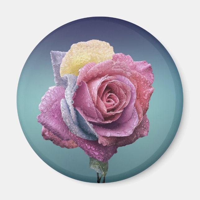 mehrfarbige Rose Magnet (Vorne)