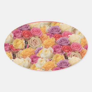 MEHRFARBIGE ROSE UMSCHLAG AUFKLEBER-STICKER OVALER AUFKLEBER