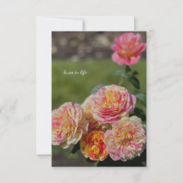 Mehrfarbige Rosen Mitteilungskarte