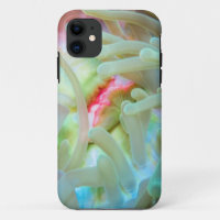 Mehrfarbige Seeanemone