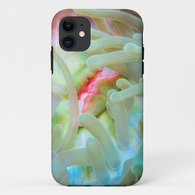 Mehrfarbige Seeanemone Case-Mate iPhone Hülle (Rückseite)