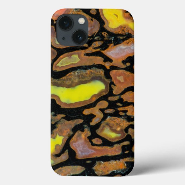 Mehrfarbiger Dinosaurier Case-Mate iPhone Hülle (Rückseite)