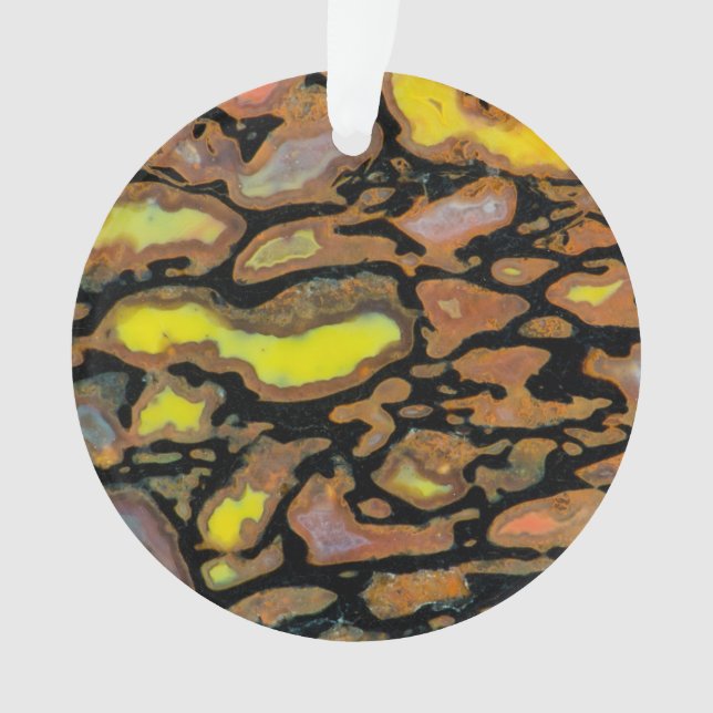 Mehrfarbiger Dinosaurier Ornament (Vorderseite)